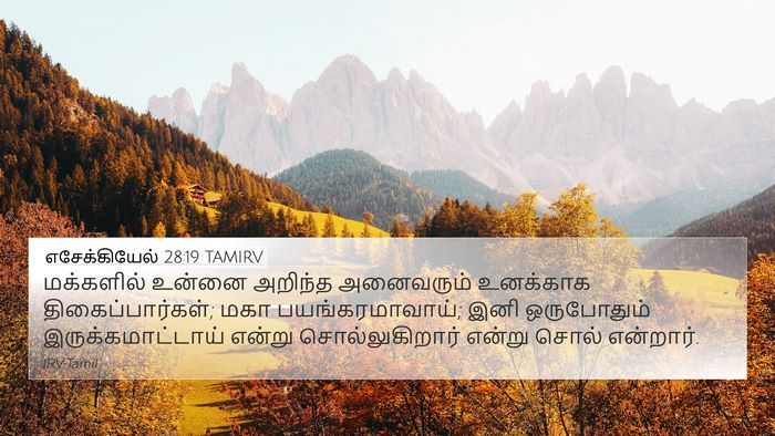எசேக்கியேல் 28:19 TAMIRV Bible Verse Image