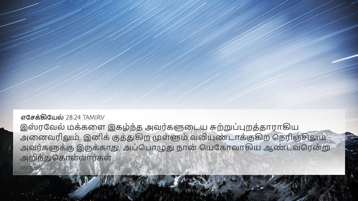 எசேக்கியேல் 28:24 TAMIRV Bible Verse Image