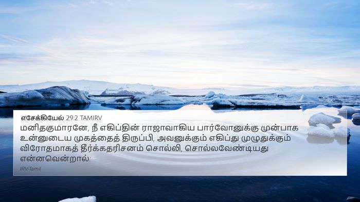 எசேக்கியேல் 29:2 TAMIRV Bible Verse Image