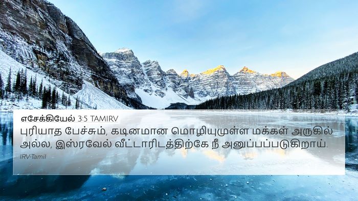 எசேக்கியேல் 3:5 TAMIRV Bible Verse Image