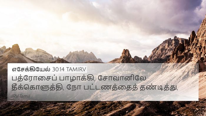 எசேக்கியேல் 30:14 TAMIRV Bible Verse Image