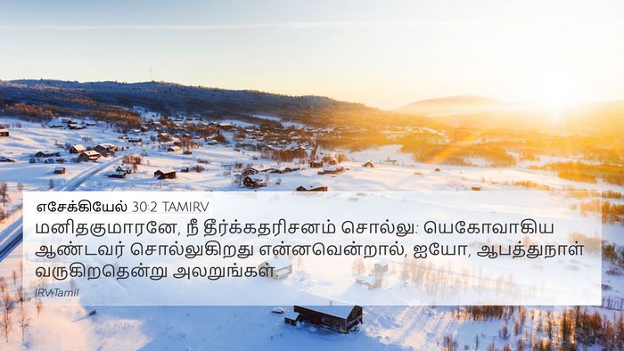 எசேக்கியேல் 30:2 TAMIRV Bible Verse Image