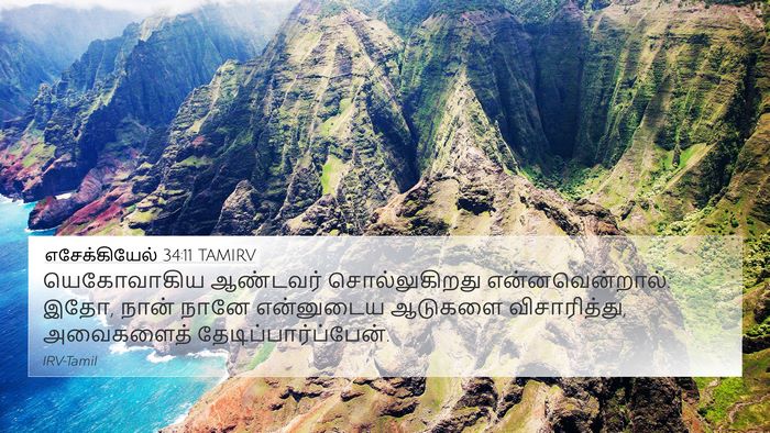 எசேக்கியேல் 34:11 TAMIRV Bible Verse Image