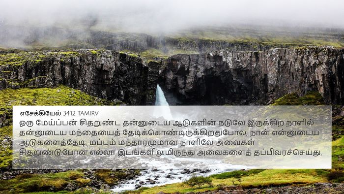 எசேக்கியேல் 34:12 TAMIRV Bible Verse Image