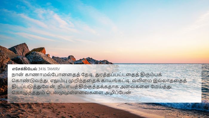 எசேக்கியேல் 34:16 TAMIRV Bible Verse Image