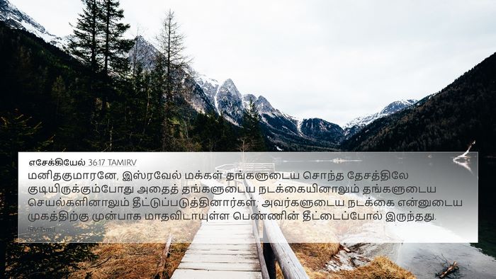 எசேக்கியேல் 36:17 TAMIRV Bible Verse Image