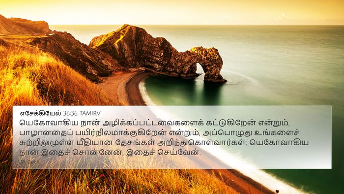 எசேக்கியேல் 36:36 TAMIRV Bible Verse Image