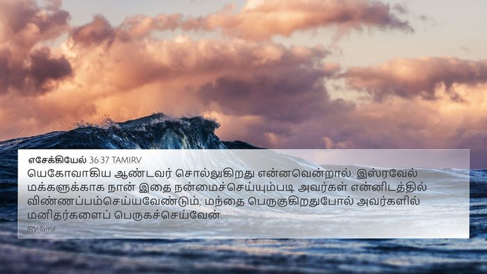 எசேக்கியேல் 36:37 TAMIRV Bible Verse Image