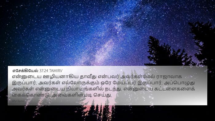 எசேக்கியேல் 37:24 TAMIRV Bible Verse Image