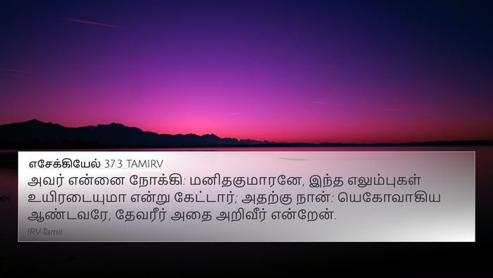 எசேக்கியேல் 37:3 TAMIRV Bible Verse Image
