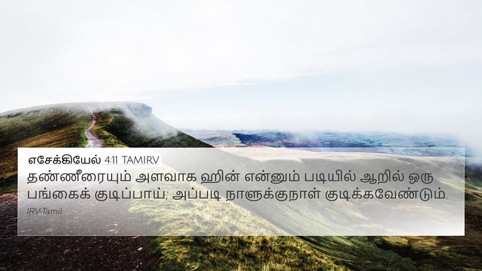 எசேக்கியேல் 4:11 TAMIRV Bible Verse Image