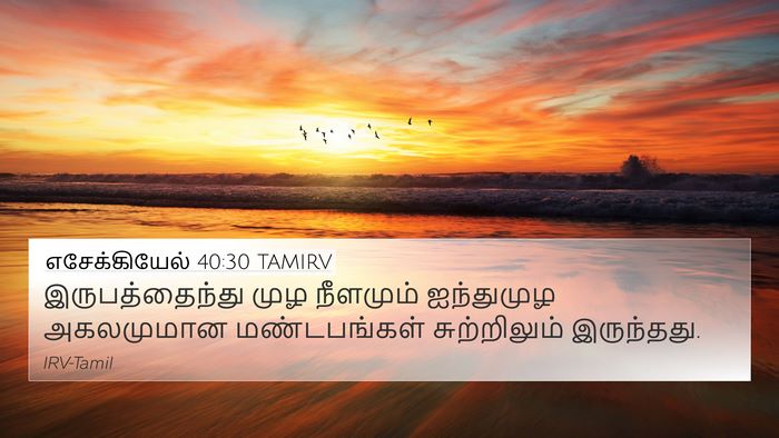 எசேக்கியேல் 40:30 TAMIRV 4K Wallpaper - இருபத்தைந்து முழ - 4K Wallpaper Bible Verse
