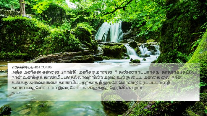 எசேக்கியேல் 40:4 TAMIRV Bible Verse Image