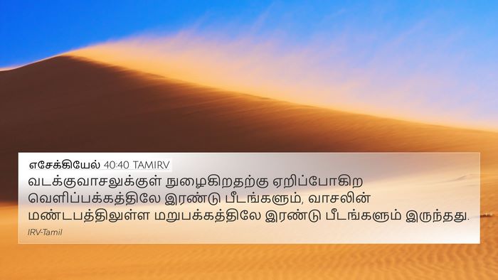 எசேக்கியேல் 40:40 TAMIRV Bible Verse Image