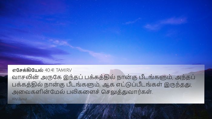 எசேக்கியேல் 40:41 TAMIRV Bible Verse Image