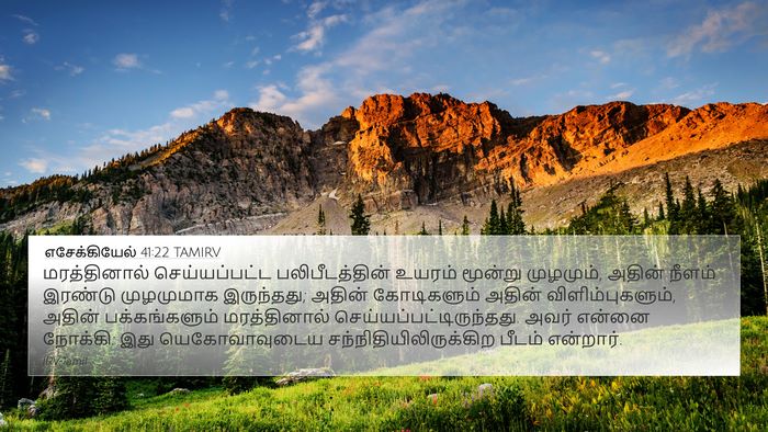 எசேக்கியேல் 41:22 TAMIRV Bible Verse Image