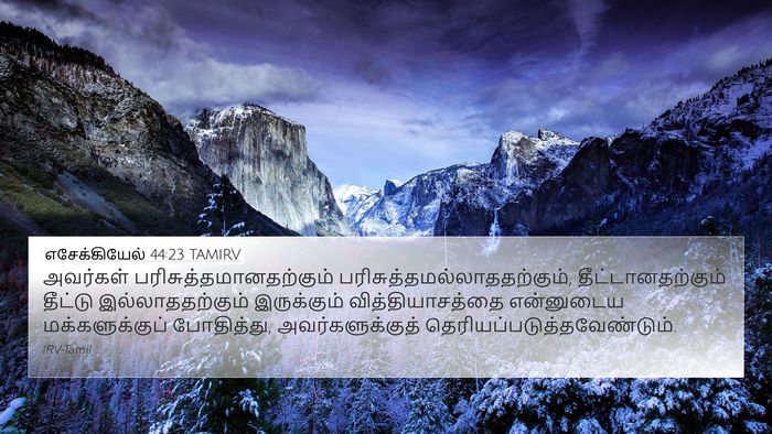 எசேக்கியேல் 44:23 TAMIRV Bible Verse Image