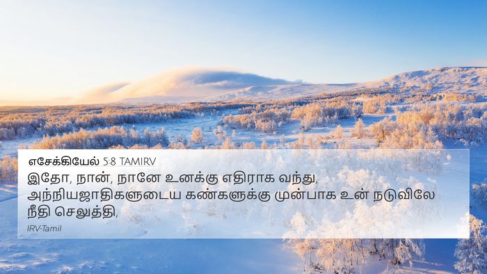 எசேக்கியேல் 5:8 TAMIRV Bible Verse Image