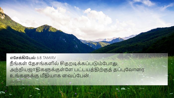 எசேக்கியேல் 6:8 TAMIRV Bible Verse Image