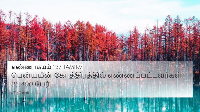 எண்ணாகமம் 1:37 TAMIRV 4K Wallpaper - பென்யமீன் - 4K Wallpaper Bible Verse