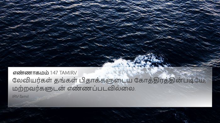 எண்ணாகமம் 1:47 TAMIRV Bible Verse Image