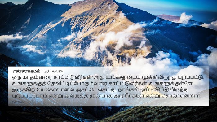 எண்ணாகமம் 11:20 TAMIRV Bible Verse Image
