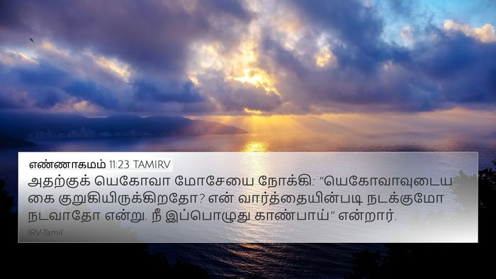 எண்ணாகமம் 11:23 TAMIRV Bible Verse Image