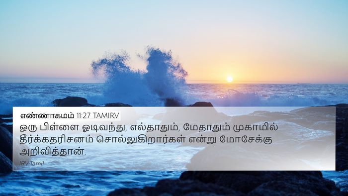 எண்ணாகமம் 11:27 TAMIRV Bible Verse Image