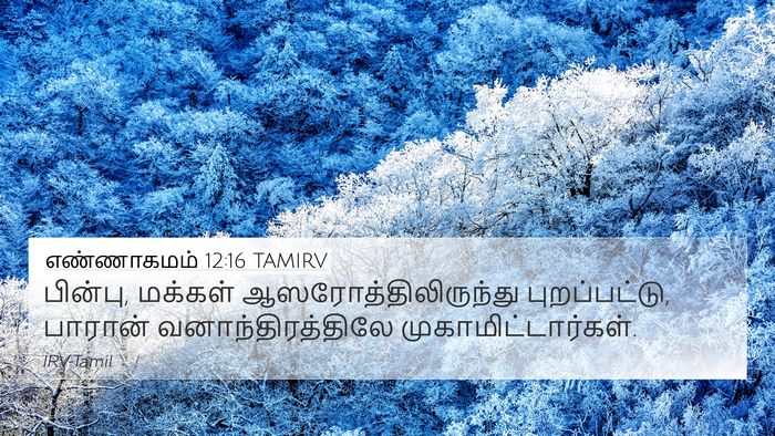 எண்ணாகமம் 12:16 TAMIRV Bible Verse Image
