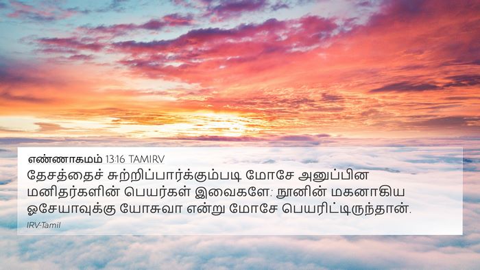எண்ணாகமம் 13:16 TAMIRV Bible Verse Image