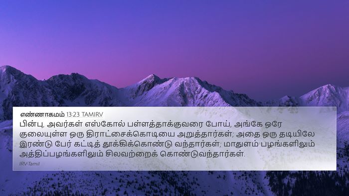 எண்ணாகமம் 13:23 TAMIRV Bible Verse Image