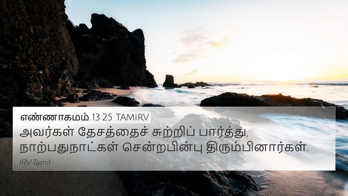 எண்ணாகமம் 13:25 TAMIRV 4K Wallpaper - அவர்கள் தேசத்தைச் - 4K Wallpaper Bible Verse