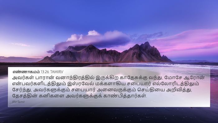 எண்ணாகமம் 13:26 TAMIRV Bible Verse Image