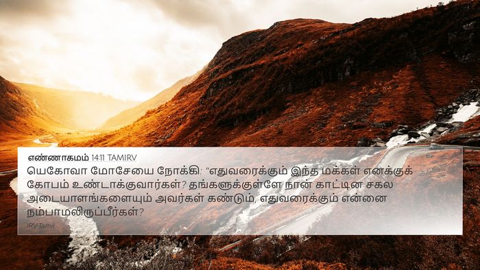 எண்ணாகமம் 14:11 TAMIRV Bible Verse Image