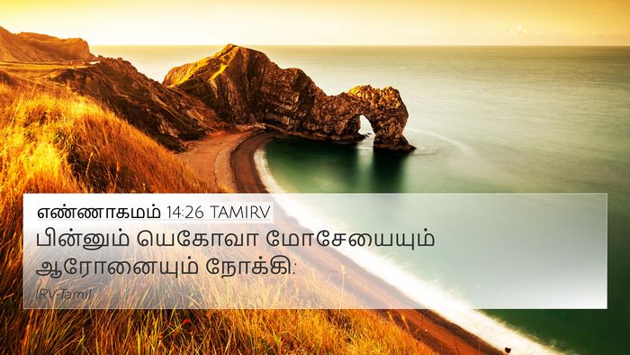 எண்ணாகமம் 14:26 TAMIRV 4K Wallpaper - பின்னும் யெகோவா - 4K Wallpaper Bible Verse