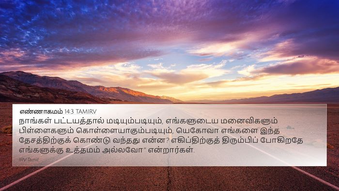 எண்ணாகமம் 14:3 TAMIRV Bible Verse Image