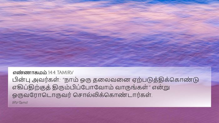 எண்ணாகமம் 14:4 TAMIRV Bible Verse Image