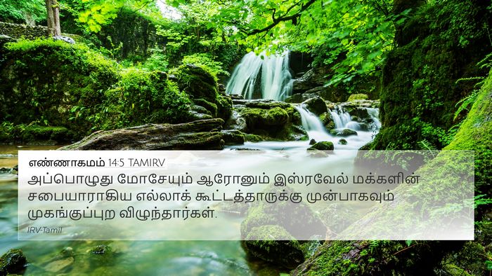 எண்ணாகமம் 14:5 TAMIRV Bible Verse Image