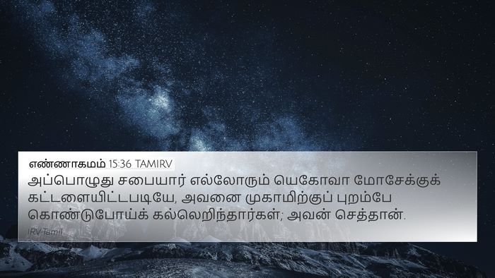 எண்ணாகமம் 15:36 TAMIRV 4K Wallpaper - அப்பொழுது சபையார் - 4K Wallpaper Bible Verse