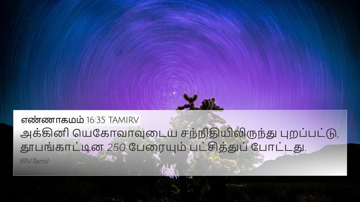 எண்ணாகமம் 16:35 TAMIRV 4K Wallpaper - அக்கினி - 4K Wallpaper Bible Verse