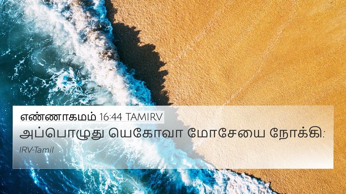 எண்ணாகமம் 16:44 TAMIRV Bible Verse Image
