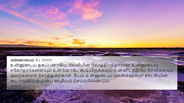 எண்ணாகமம் 18:2 TAMIRV Bible Verse Image