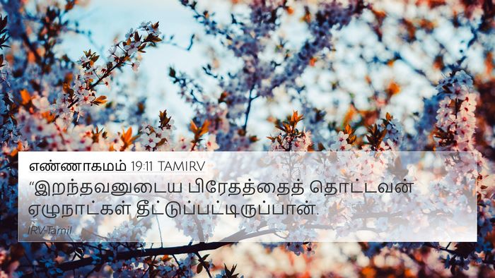 எண்ணாகமம் 19:11 TAMIRV Bible Verse Image