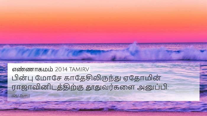 எண்ணாகமம் 20:14 TAMIRV Bible Verse Image