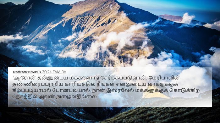 எண்ணாகமம் 20:24 TAMIRV Bible Verse Image