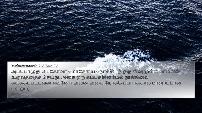 எண்ணாகமம் 21:8 TAMIRV Bible Verse Image