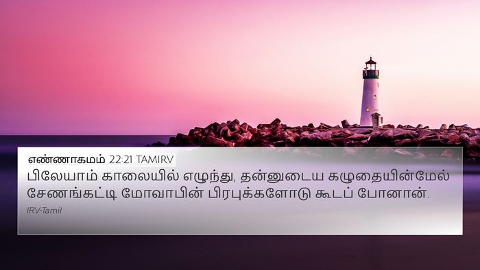 எண்ணாகமம் 22:21 TAMIRV Bible Verse Image