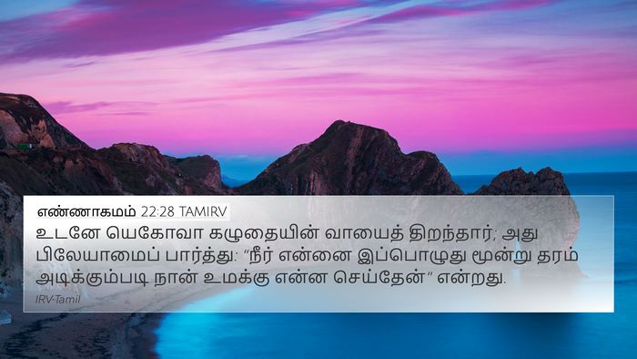 எண்ணாகமம் 22:28 TAMIRV Bible Verse Image