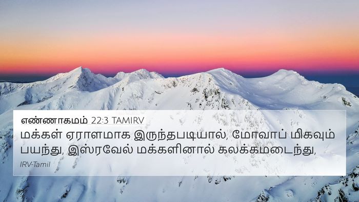 எண்ணாகமம் 22:3 TAMIRV Bible Verse Image