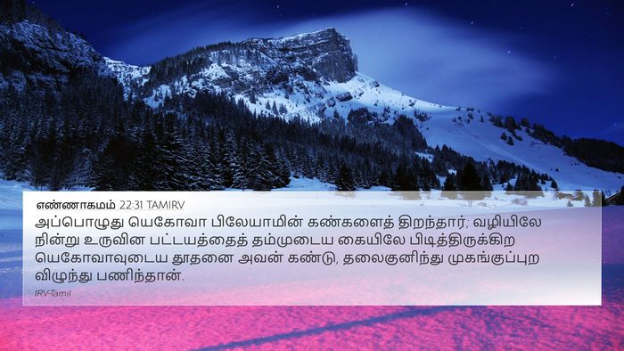 எண்ணாகமம் 22:31 TAMIRV 4K Wallpaper - அப்பொழுது யெகோவா - 4K Wallpaper Bible Verse